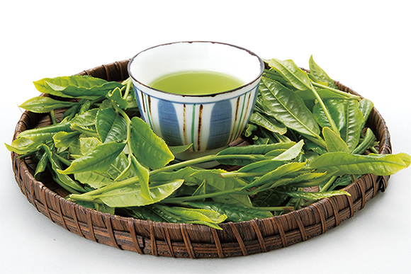 深蒸し茶ってどんなお茶？