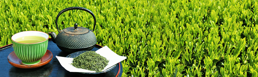 静岡茶の特徴