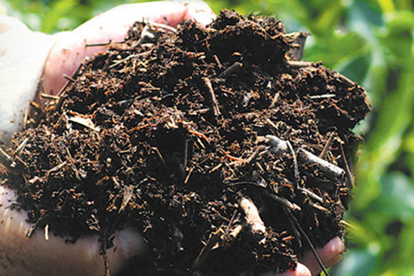 有機肥料を用いた養分豊かな土づくり