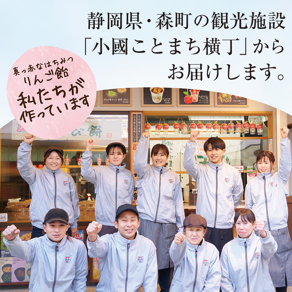 えらべる10セット 真っ赤なはちみつりんご飴